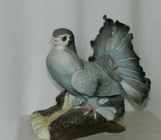 Huge 10 " H Italian Porcelain Fantail Pigeon Dove Italy Figurine Capodimonte Style