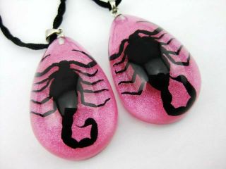 16pcs Pink Sexy Black Scorpion Drop Cute Pendant