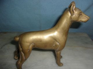 Vintage Large Brass Great Dane Dog 8” X 7”