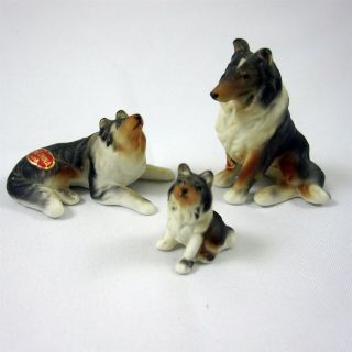 Trio Of 3 Collie Dogs Figurines Bone China Vintage 1960s Made In Japan