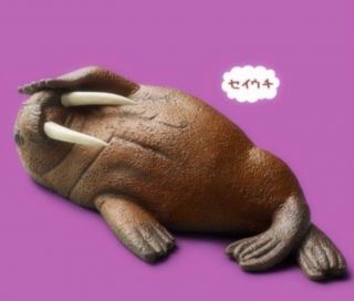 Japan Zoo Lazy Sleeping Walrus Animal Pvc Mini Figurine Figure Model