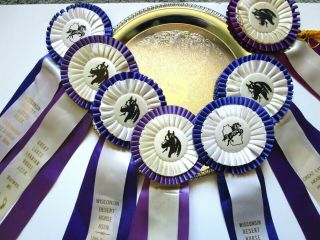 Group Of 7 Vintage Horse Show Blue Ribbons,  Grand Champion Tray