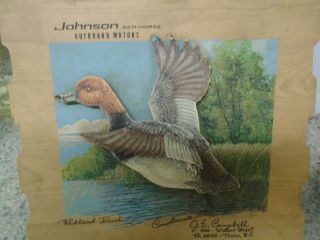 Johnson Sea - Horse Outboard Motors Antique Advertising ;redhead Duck ;