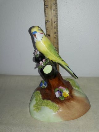 Vintage England Denton Best Bone China Parakeet Bird Figurine W Flowers