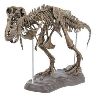 T Rex Tyrannosaurus Rex Skeleton Dinosaur Animal Model Toy Collector Decor 2019