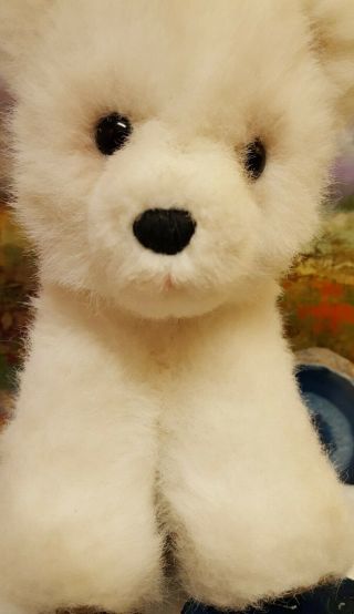 Steiff Polar Bear " Issy " Vintage Teddy Bear Cub,  Brass Button From 1979,  9 " Rare