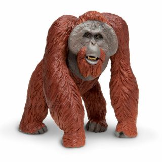 Wildlife Wonders Bornean Orangutan Safari Ltd Animal Educational Toy Figure