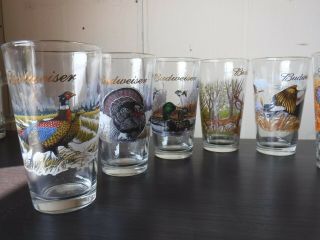 8 - - 16 Oz Pint Budweiser Beer Glasses Wildlife Scenes. 2