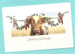 Texas Longhorn Cattle Cow Embossed Christmas Cards Box Of 16 Made Us Juan Vela