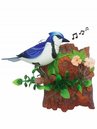 Unido Box Dancing Chirping Bird,  Vertical Blue Jay Home Wall Color Decor Moving