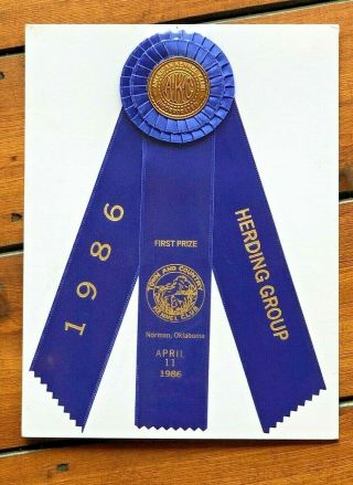 Vintage 1986 Akc Herding Dog Show Blue Ribbon 12x9 Norman Oklahoma First Prize