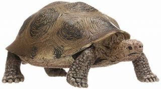 Schleich Wildlife Giant Tortoise Figure 14601