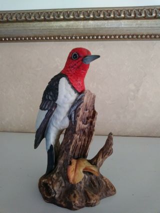 " Red Headed Woodpecker " John James Audubon Bird,  1982