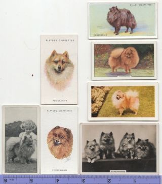 Pomeranian Dog Pet Canine 7 Different Vintage Ad Trade Cards 4