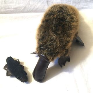 B J Toy Co Plush Platypus Stuffed Animal With Baby In Belly Rare 12 " Snout - Tail