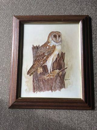 Vintage Framed Owl Picture Art Print - By E.  Rambow