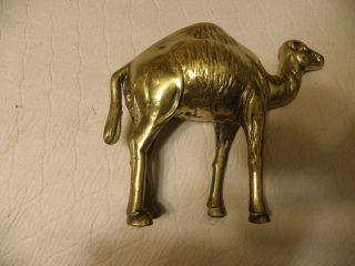 Heavy Brass Camel,  Nearly 4 Pounds