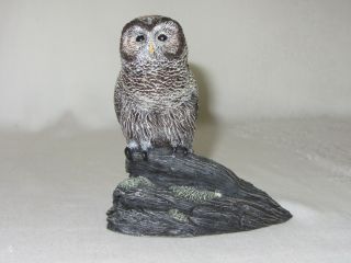 Vintage Owl On Branch Figurine 1985 Aus Ben Studios Boone Nc Resin