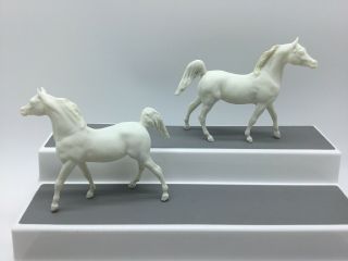 Breyer Horse Set White Paddock Pal Little Bit Paint Your Horse Arabian Stallion