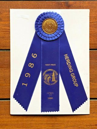 Vintage 1986 Akc Herding Dog Show Blue Ribbon 12x9 Laramie Wyoming First Prize