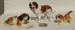 Schleich Saint Bernard Family Male Female Puppy Figures Retired