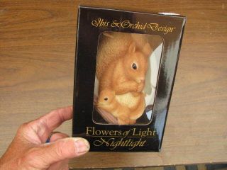 Flowers Of Light Nightlight Mom & Baby Squirrel By Ibis & Orchid Design