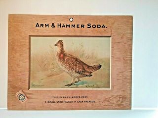 1904 Large Rare Advertising Sign - Arm & Hammer - Salesman Sample Trade Card