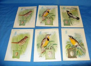 Singer Sewing Machine American Song Birds Photo Cards Sparrow Meadowlark Chat