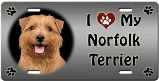 Norlfolk Terrier License Plate - Love