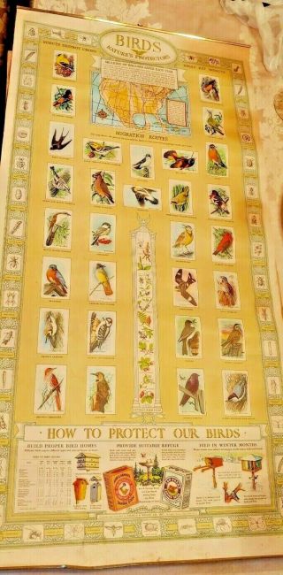 Vintage Great Hanging Poster " Birds Nature 