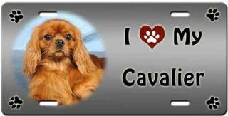 Cavalier King Charles Spaniel License Plate - Love