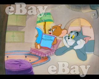Rare Tom & Jerry Cartoon Color Photo Hanna Barbera Studios Mgm