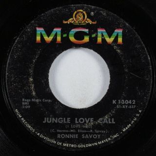 Popcorn Exotica Soul 45 Ronnie Savoy Jungle Love Call Mgm Hear