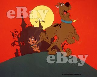 Rare Scooby & Scrappy Doo Cartoon Color Tv Photo Hanna Barbera Studios