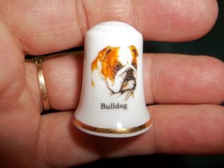 Vintage English Bulldog Dog Collectible Ceramic Thimble Figurine Lim.  Edition