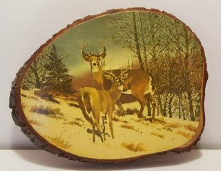 Vintage Rustic Tree Bark 2 Bucks Deer In Snow Wall Plaque Natural Wood Slab