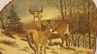 Vintage Rustic Tree Bark 2 Bucks Deer in Snow Wall Plaque Natural Wood Slab 2