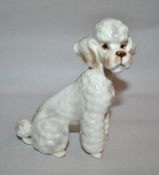 Vtg French Poodle White Dog Figurine Porcelain Glazed 4.  25 " Japan Hand Decorated