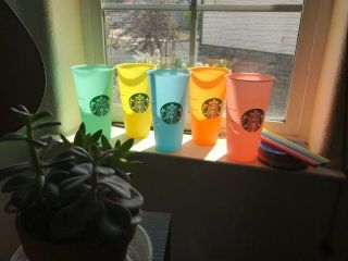 Brand - - Rare 2019 Starbucks Color Changing Cups - Full Set