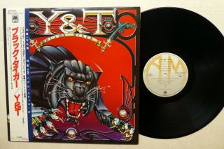 Y&t Black Tiger Lp Japan Press 1982 - W/obi & Bio Hard Rock Rp660