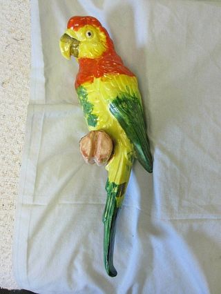 Vintage Large Macaw Parrot Hanging Planter Colorful 12 " Long
