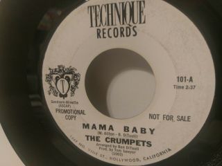 Rare Garage Rock 45rpm " The Crumpets " 7 " Promo Mama Baby 1965 Technique Record