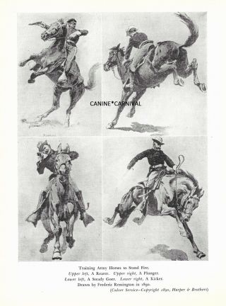 Training Army Horses To Stand Fire Frederic Remington Guns 1940 Horse Art Print