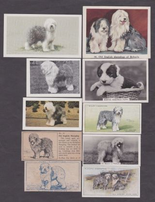 18 Different Vintage Old English Sheepdog Tobacco/cigarette Dog Cards
