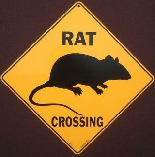 Rat Crossing Sign 16 1/2 By 16 1/2 Decor Rats Animals Wildlife Signs Pets