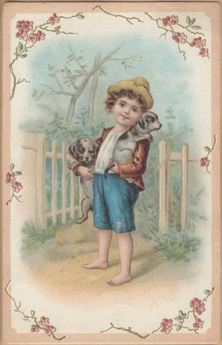 Victorian Trade Card - French Market Coffee - Orleans,  La - Boy W/ Puppies - Flowers