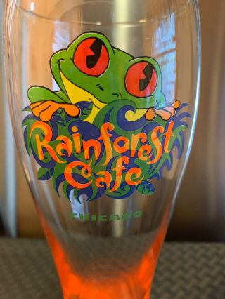Rare Rainforest Cafe Cha Cha The Frog Pilsner Glass - Chicago 4