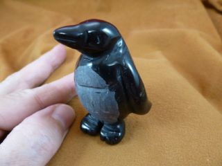 Y - Pen - 709 Black Onyx Penguin Gemstone Bird Stone Penguins King Emperor Antartica