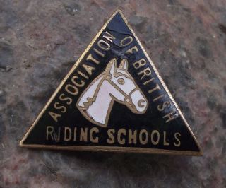 Antique Association British Horse Riding Schools Equestrian Triangle Pin Badge