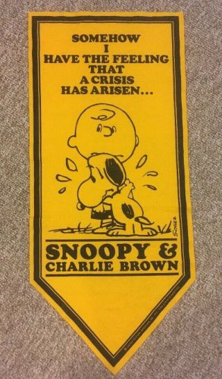 Rare Vintage 1970 Peanuts Snoopy & Charlie Brown Felt Pennant/banner Chas Schulz